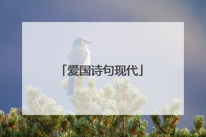 爱国诗句现代