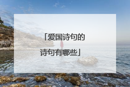 爱国诗句的诗句有哪些