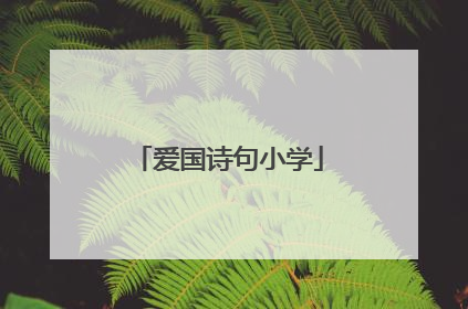 爱国诗句小学