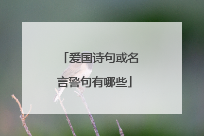 爱国诗句或名言警句有哪些