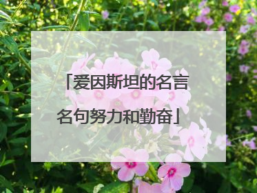 爱因斯坦的名言名句努力和勤奋