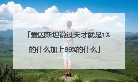 爱因斯坦说过天才就是1%的什么加上99%的什么