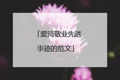 爱岗敬业先进事迹的范文