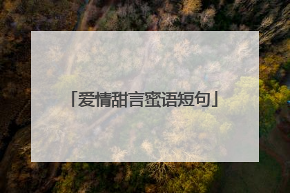 爱情甜言蜜语短句
