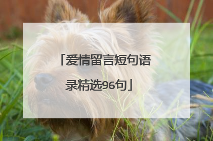 爱情留言短句语录精选96句