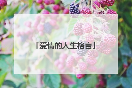 爱情的人生格言