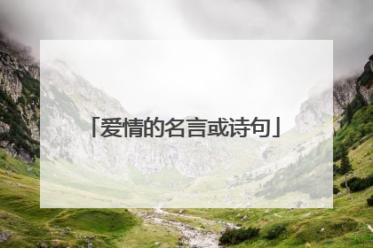 爱情的名言或诗句