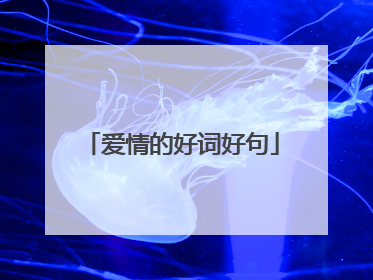 爱情的好词好句