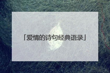 爱情的诗句经典语录