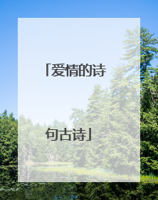 爱情的诗句古诗