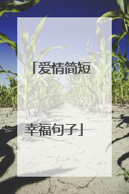 爱情简短幸福句子