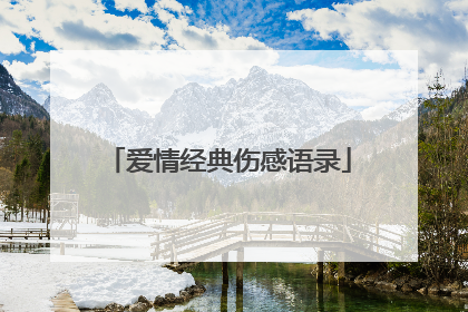 爱情经典伤感语录
