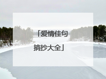爱情佳句摘抄大全