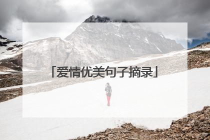 爱情优美句子摘录