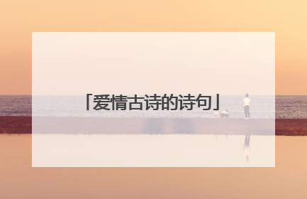 爱情古诗的诗句