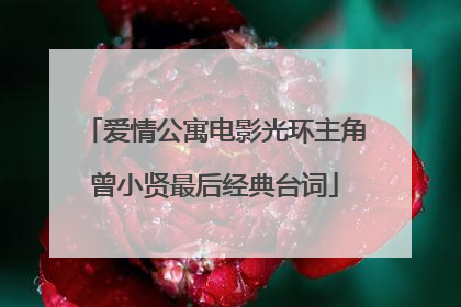 爱情公寓电影光环主角曾小贤最后经典台词
