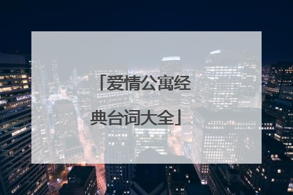 爱情公寓经典台词大全