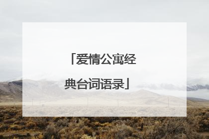 爱情公寓经典台词语录