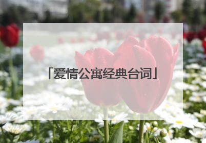 爱情公寓经典台词