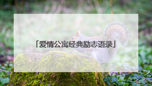 爱情公寓经典励志语录