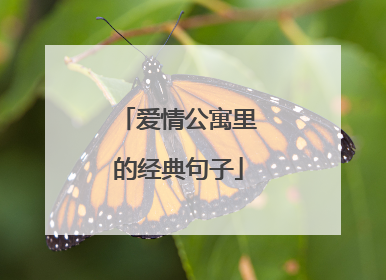 爱情公寓里的经典句子