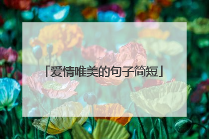 爱情唯美的句子简短