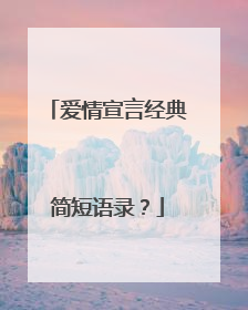 爱情宣言经典简短语录？