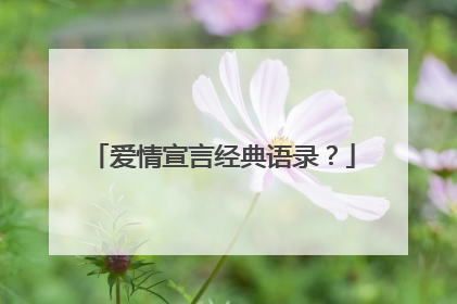 爱情宣言经典语录？