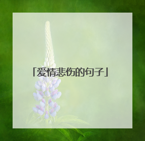 爱情悲伤的句子
