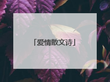爱情散文诗