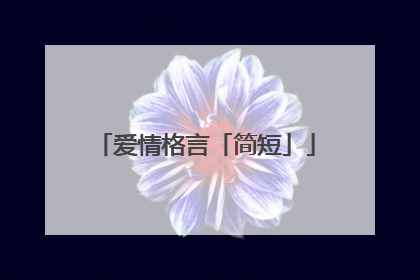 爱情格言「简短」