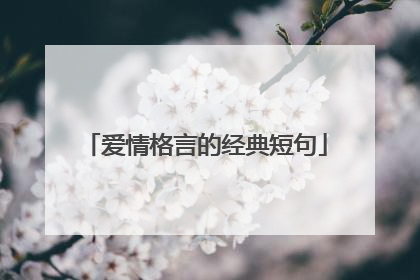 爱情格言的经典短句