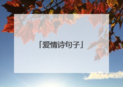 爱情诗句子