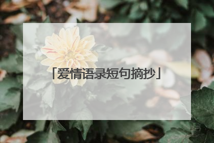 爱情语录短句摘抄