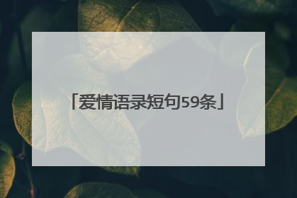 爱情语录短句59条