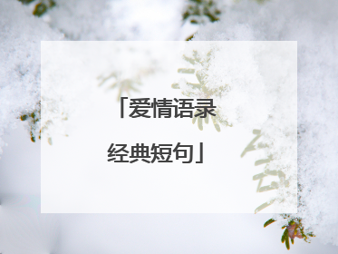 爱情语录经典短句
