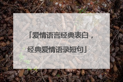 爱情语言经典表白，经典爱情语录短句