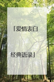 爱情表白经典语录