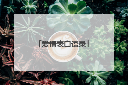 爱情表白语录
