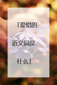 爱惜的近义词是什么