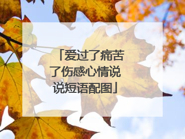 爱过了痛苦了伤感心情说说短语配图