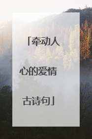 牵动人心的爱情古诗句