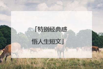 特别经典感悟人生短文