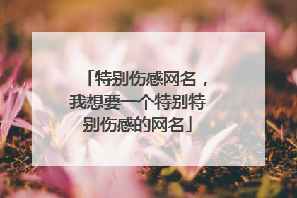 特别伤感网名,我想要一个特别特别伤感的网名