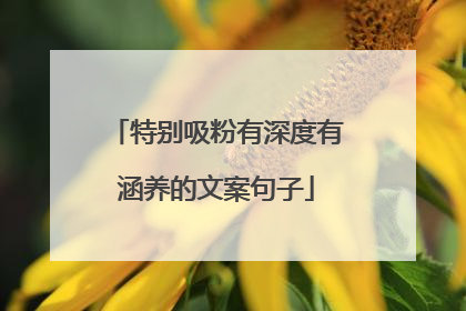 特别吸粉有深度有涵养的文案句子