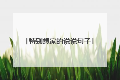 特别想家的说说句子