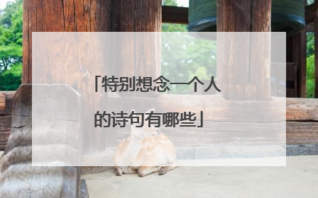 特别想念一个人的诗句有哪些