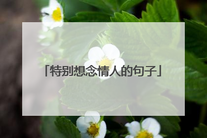特别想念情人的句子