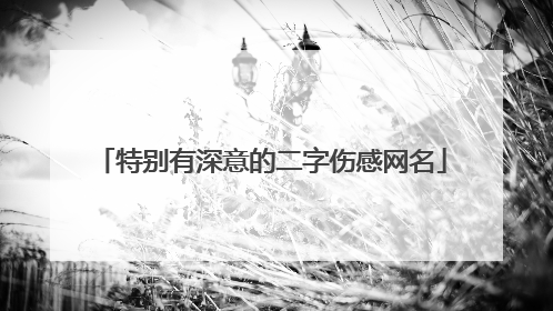 特别有深意的二字伤感网名