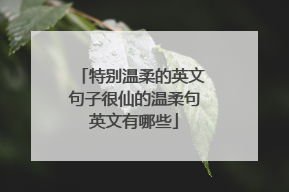特别温柔的英文句子很仙的温柔句英文有哪些